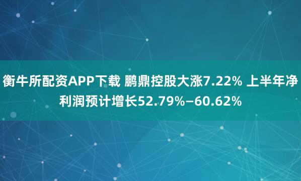 衡牛所配资APP下载 鹏鼎控股大涨7.22% 上半年净利润预计增长52.79%—60.62%