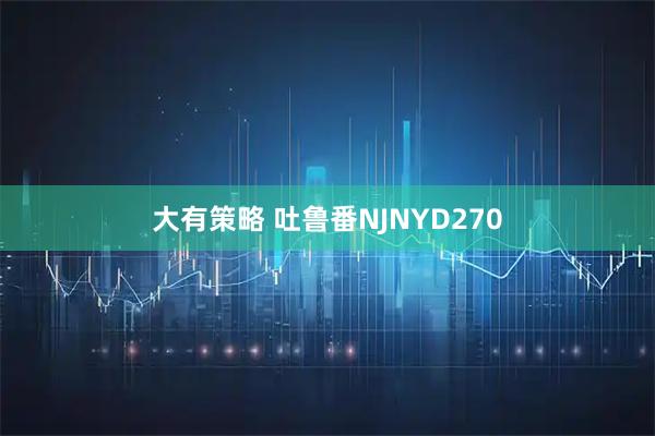大有策略 吐鲁番NJNYD270