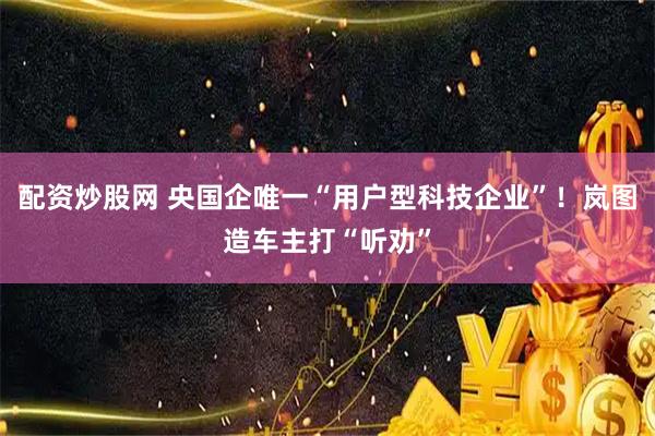 配资炒股网 央国企唯一“用户型科技企业”!岚图造车主打“听劝”