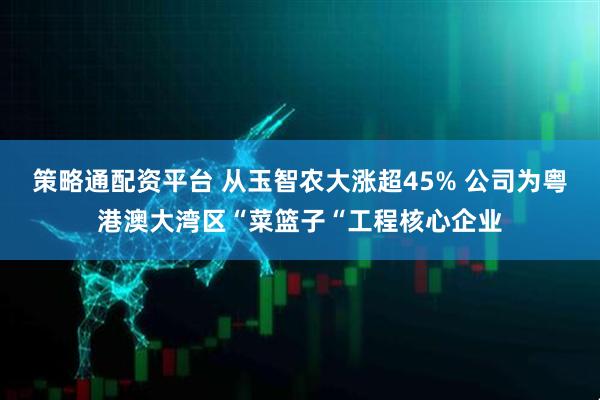 策略通配资平台 从玉智农大涨超45% 公司为粤港澳大湾区“菜篮子“工程核心企业