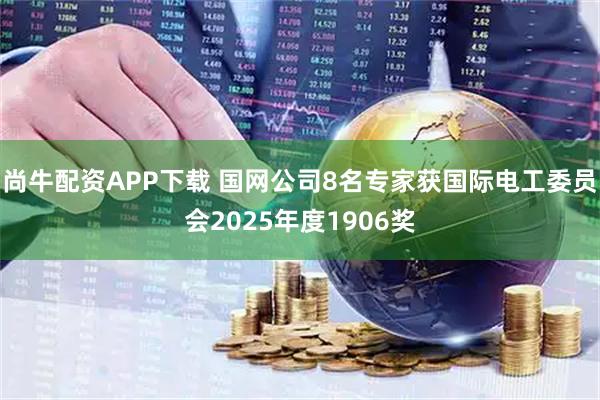 尚牛配资APP下载 国网公司8名专家获国际电工委员会2025年度1906奖