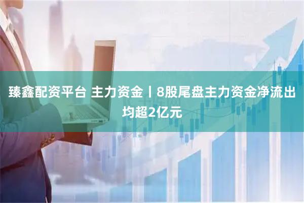臻鑫配资平台 主力资金丨8股尾盘主力资金净流出均超2亿元