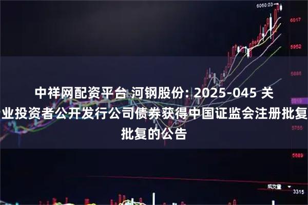 中祥网配资平台 河钢股份: 2025-045 关于向专业投资者公开发行公司债券获得中国证监会注册批复的公告