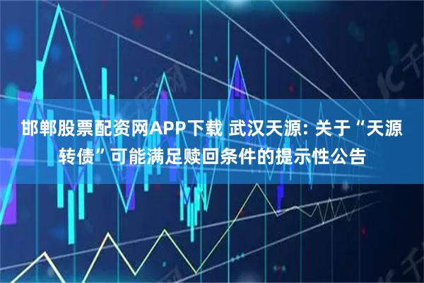 邯郸股票配资网APP下载 武汉天源: 关于“天源转债”可能满足赎回条件的提示性公告
